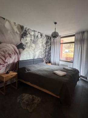 FeWo in Schluchsee Apartment Loft Style mit Balkon Indoorpool Tiefgaragenstellplatz